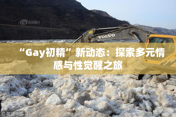 “Gay初精”新动态：探索多元情感与性觉醒之旅