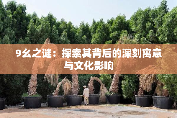 9幺之谜：探索其背后的深刻寓意与文化影响