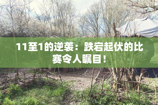 11至1的逆袭：跌宕起伏的比赛令人瞩目！