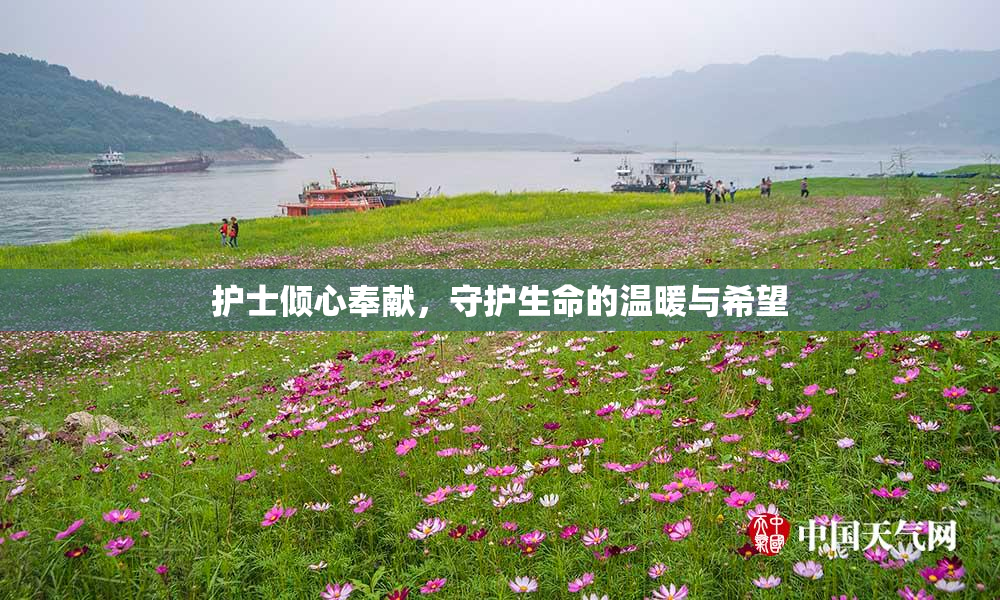 护士倾心奉献，守护生命的温暖与希望