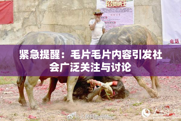紧急提醒：毛片毛片内容引发社会广泛关注与讨论