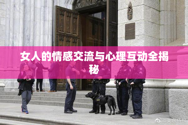女人的情感交流与心理互动全揭秘