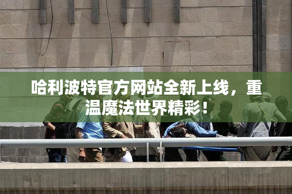哈利波特官方网站全新上线，重温魔法世界精彩！