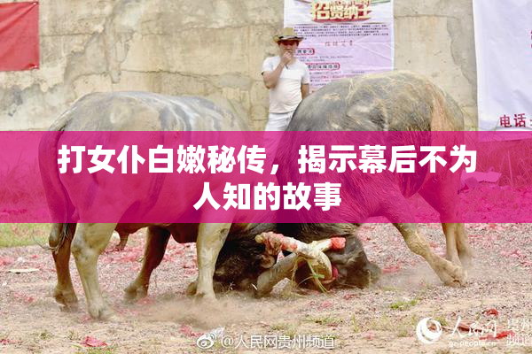 打女仆白嫩秘传，揭示幕后不为人知的故事