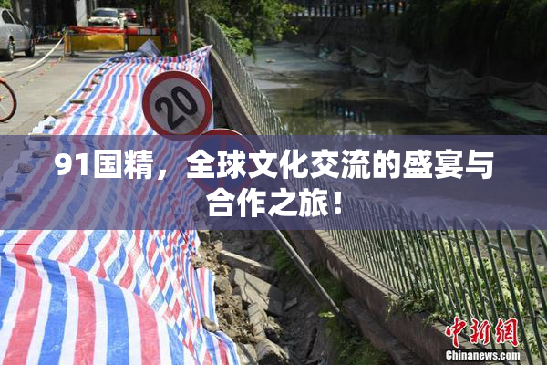 91国精，全球文化交流的盛宴与合作之旅！