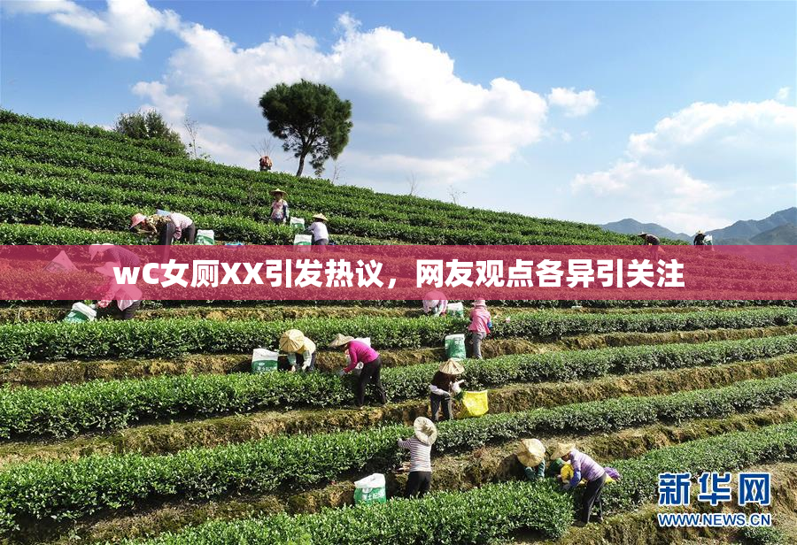 wC女厕XX引发热议，网友观点各异引关注