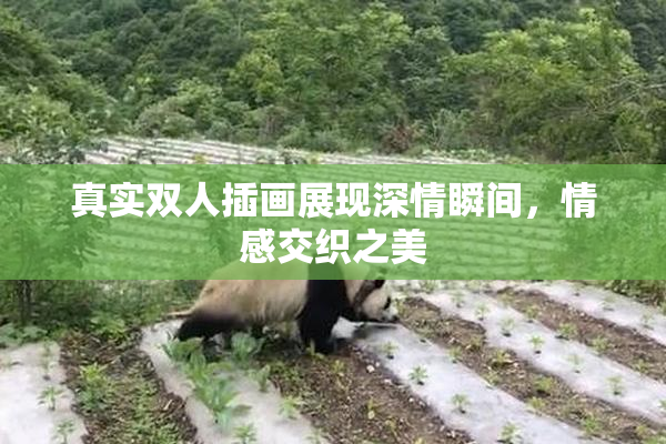 真实双人插画展现深情瞬间，情感交织之美