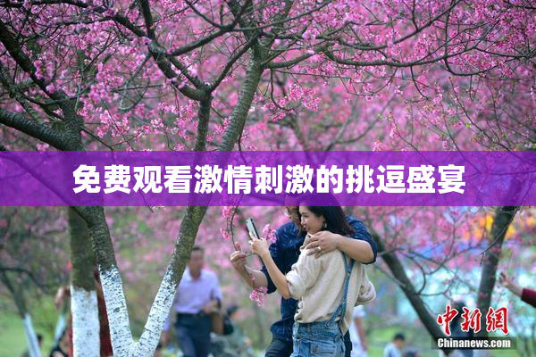 免费观看激情刺激的挑逗盛宴