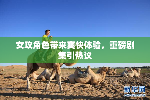 女攻角色带来爽快体验，重磅剧集引热议