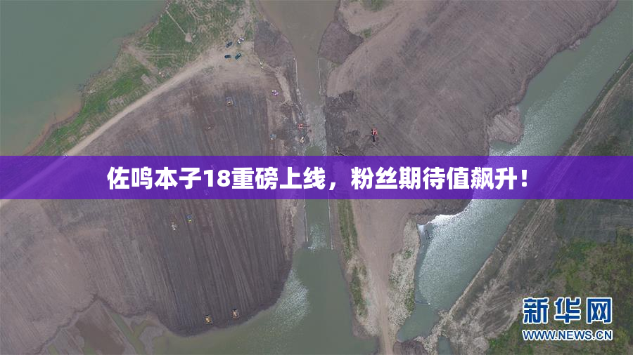 佐鸣本子18重磅上线，粉丝期待值飙升！