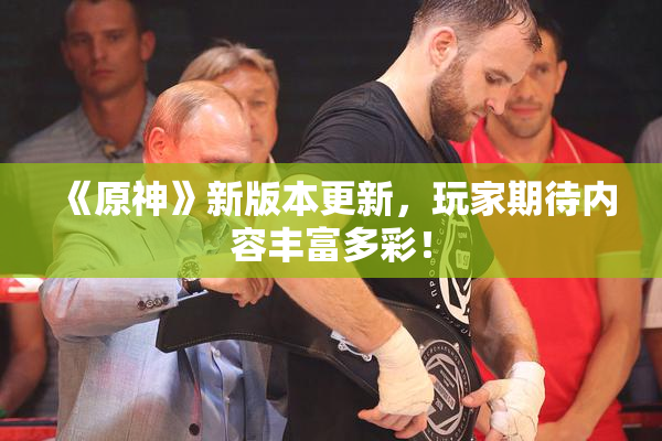 《原神》新版本更新，玩家期待内容丰富多彩！