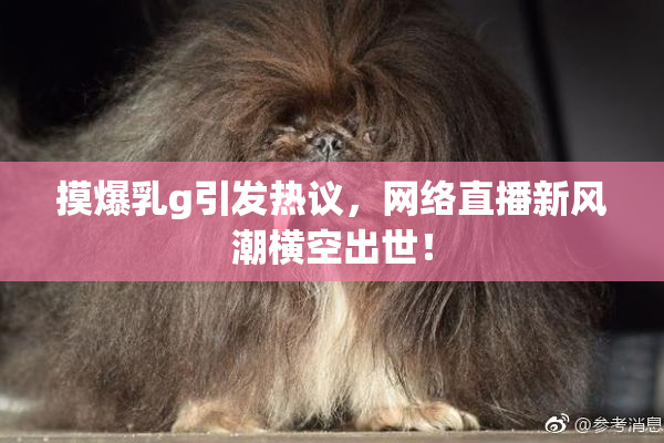 摸爆乳g引发热议，网络直播新风潮横空出世！
