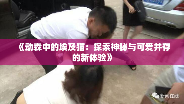 《动森中的埃及猫：探索神秘与可爱并存的新体验》