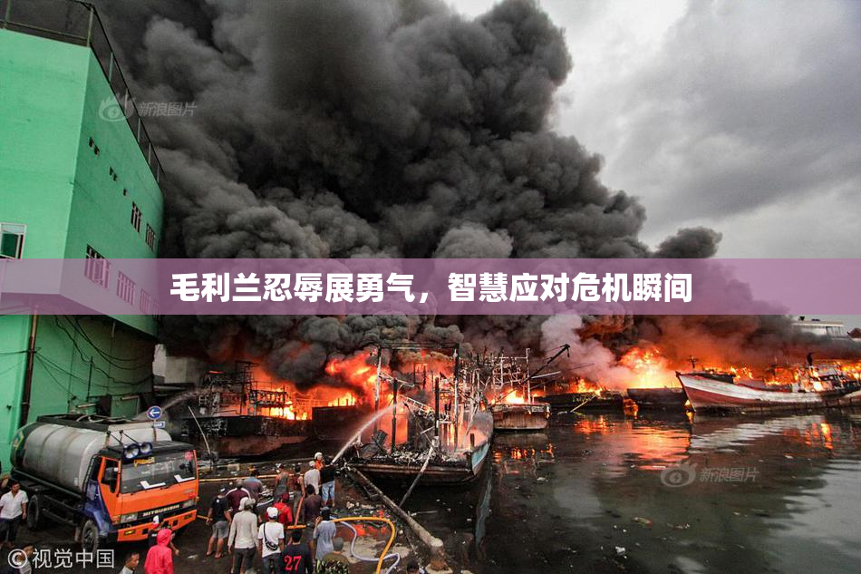 毛利兰忍辱展勇气，智慧应对危机瞬间