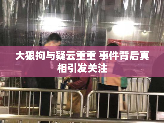 大狼拘与疑云重重 事件背后真相引发关注