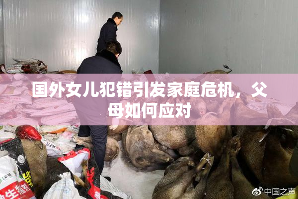 国外女儿犯错引发家庭危机，父母如何应对