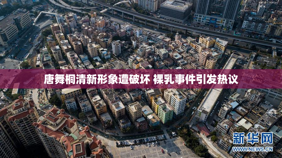 唐舞桐清新形象遭破坏 裸乳事件引发热议