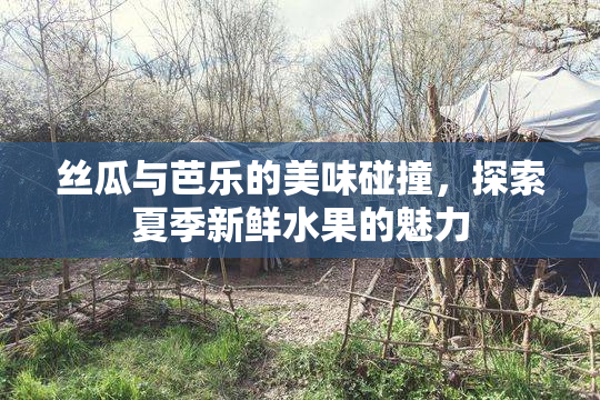 丝瓜与芭乐的美味碰撞，探索夏季新鲜水果的魅力