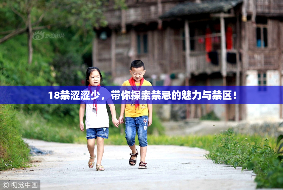 18禁涩涩少，带你探索禁忌的魅力与禁区！