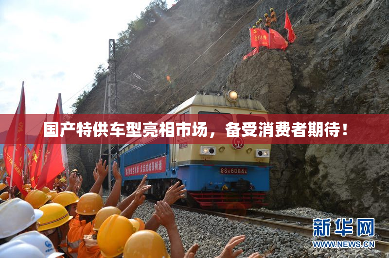 国产特供车型亮相市场，备受消费者期待！