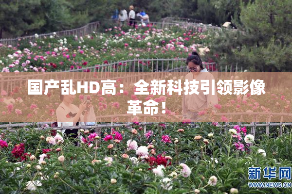 国产乱HD高：全新科技引领影像革命！