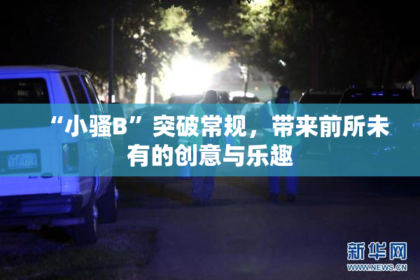 “小骚B”突破常规，带来前所未有的创意与乐趣