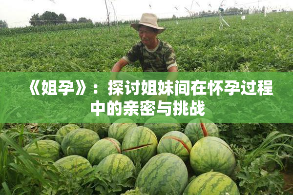 《姐孕》：探讨姐妹间在怀孕过程中的亲密与挑战