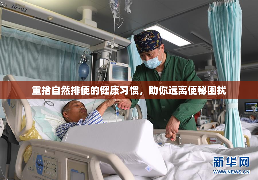 重拾自然排便的健康习惯，助你远离便秘困扰
