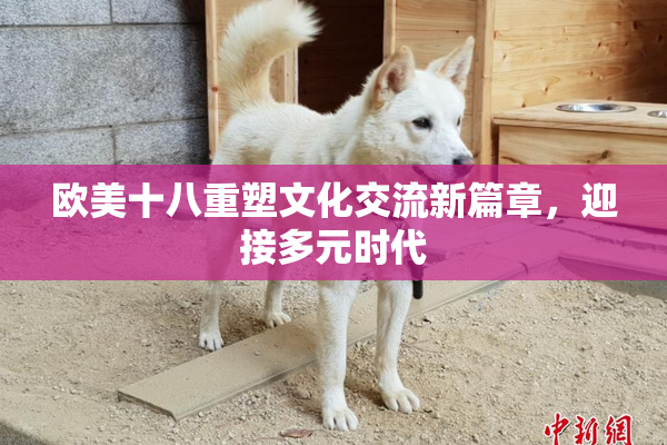 欧美十八重塑文化交流新篇章，迎接多元时代
