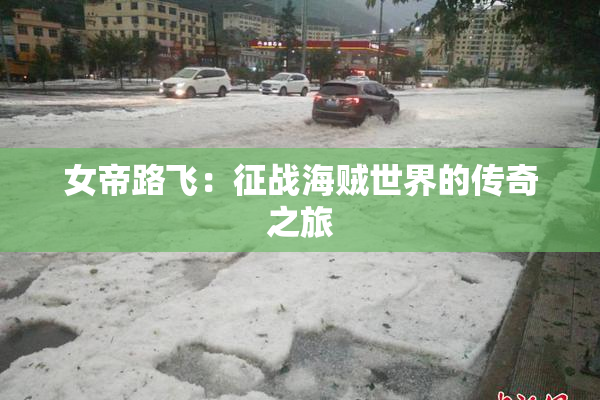 女帝路飞：征战海贼世界的传奇之旅