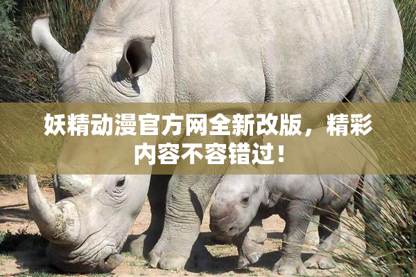 妖精动漫官方网全新改版，精彩内容不容错过！