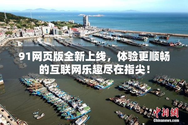 91网页版全新上线，体验更顺畅的互联网乐趣尽在指尖！