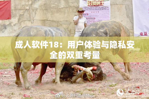 成人软件18：用户体验与隐私安全的双重考量