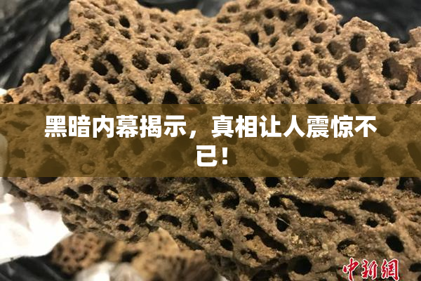 黑暗内幕揭示，真相让人震惊不已！