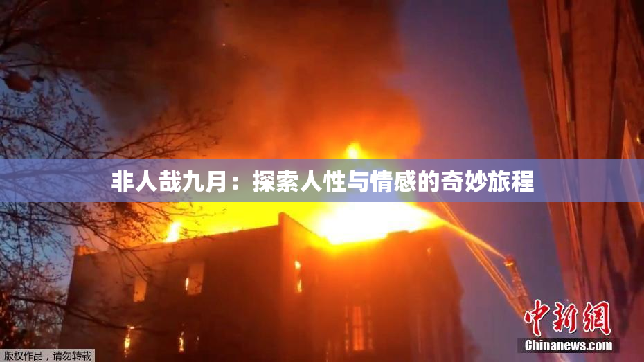 非人哉九月：探索人性与情感的奇妙旅程