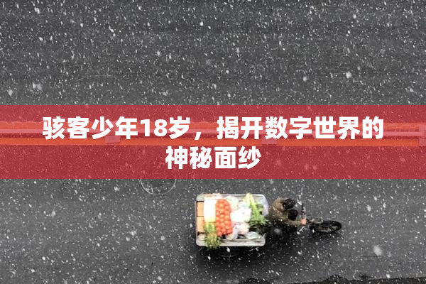 骇客少年18岁，揭开数字世界的神秘面纱