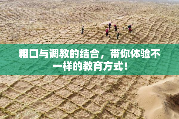粗口与调教的结合，带你体验不一样的教育方式！