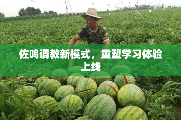 佐鸣调教新模式，重塑学习体验上线