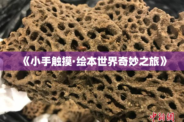 《小手触摸·绘本世界奇妙之旅》