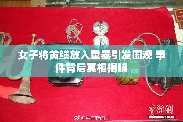 女子将黄鳝放入重器引发围观 事件背后真相揭晓