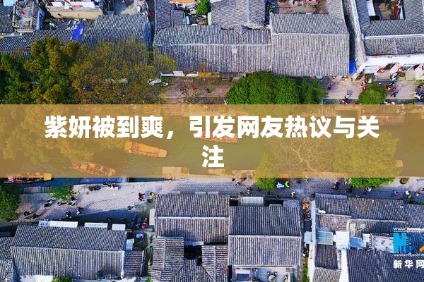 紫妍被到爽，引发网友热议与关注