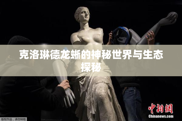 克洛琳德龙蜥的神秘世界与生态探秘