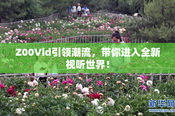 Z00Vid引领潮流，带你进入全新视听世界！