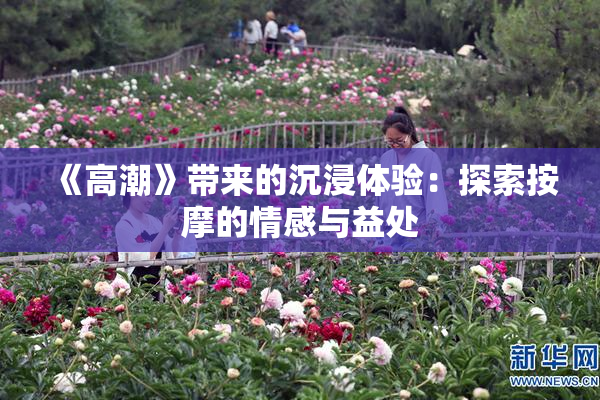 《高潮》带来的沉浸体验：探索按摩的情感与益处