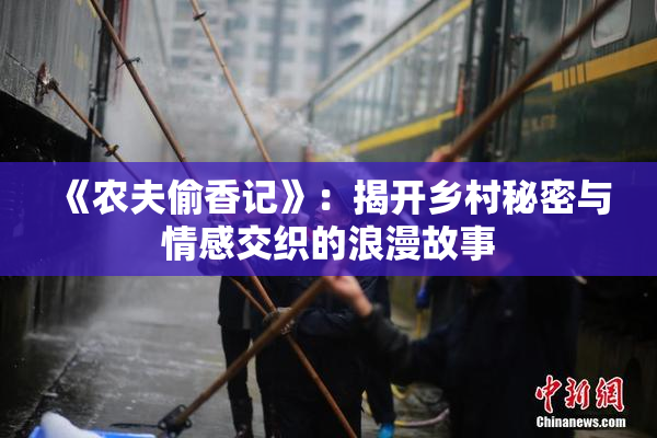《农夫偷香记》：揭开乡村秘密与情感交织的浪漫故事
