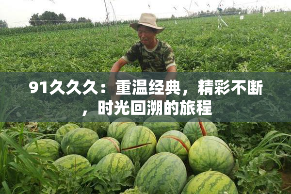 91久久久：重温经典，精彩不断，时光回溯的旅程