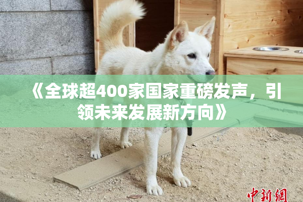 《全球超400家国家重磅发声，引领未来发展新方向》