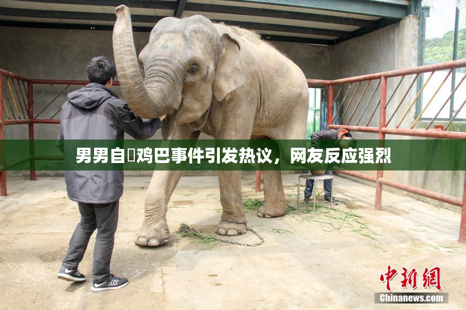 男男自擼鸡巴事件引发热议，网友反应强烈