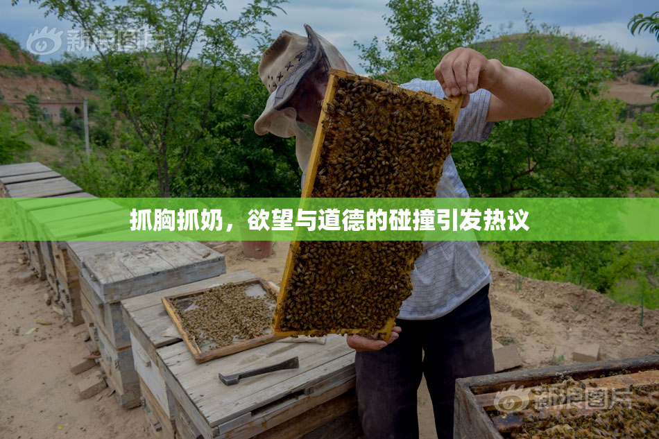 抓胸抓奶，欲望与道德的碰撞引发热议