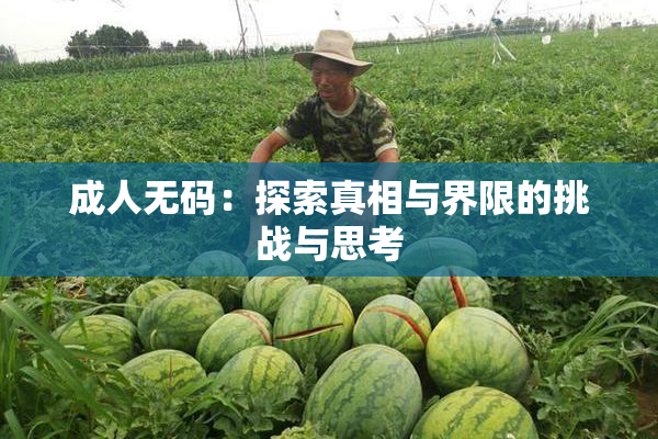 成人无码：探索真相与界限的挑战与思考
